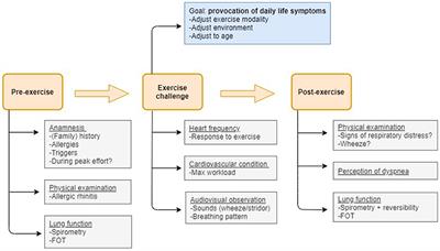 The Need for Testing—The Exercise Challenge Test to Disentangle Causes of Childhood Exertional Dyspnea